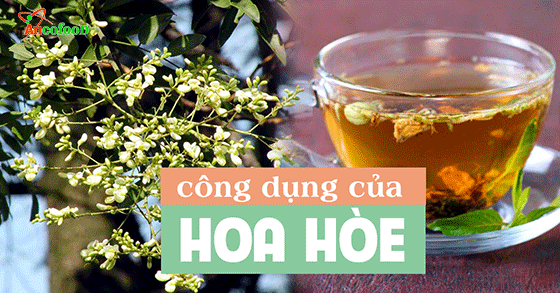 hoa hòe khô